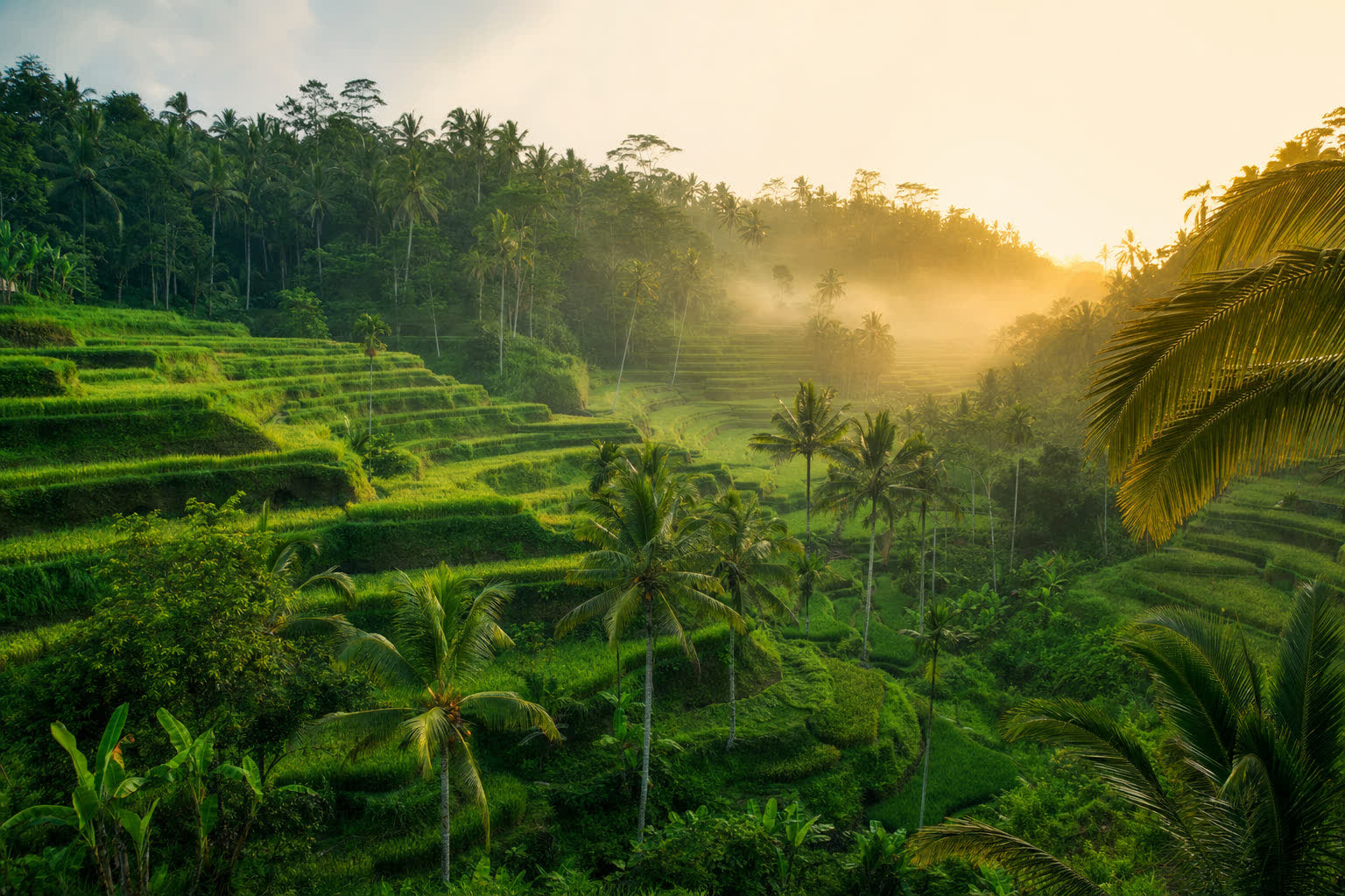 Bali private jet charter